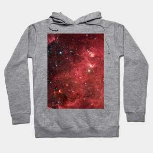 Space Hoodie